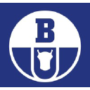 Logo firmy BORYSZEW SPÓŁKA AKCYJNA