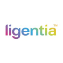Logo firmy LIGENTIA CUSTOMS AGENCY SPÓŁKA Z OGRANICZONĄ ODPOWIEDZIALNOŚCIĄ