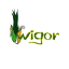Logo firmy GRUPA PRODUCENTÓW OWOCÓW I WARZYW WIGOR SPÓŁKA Z OGRANICZONĄ ODPOWIEDZIALNOŚCIĄ