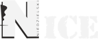 Logo firmy NICE SPÓŁKA Z OGRANICZONĄ ODPOWIEDZIALNOŚCIĄ