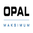 Logo firmy MAKSIMUM SPÓŁKA Z OGRANICZONĄ ODPOWIEDZIALNOŚCIĄ HOLDING SPÓŁKA KOMANDYTOWO-AKCYJNA