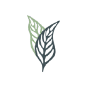 Logo firmy SYNEA SPÓŁKA Z OGRANICZONĄ ODPOWIEDZIALNOŚCIĄ