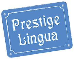 Logo firmy NUMBER ONE TS SPÓŁKA Z OGRANICZONĄ ODPOWIEDZIALNOŚCIĄ