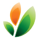 Logo firmy BELLE AIRE CREATIONS EUROPE SPÓŁKA Z OGRANICZONĄ ODPOWIEDZIALNOŚCIĄ W UPADŁOŚCI