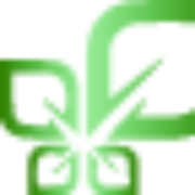 Logo firmy F.L. CLOVER PROSTA SPÓŁKA AKCYJNA
