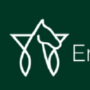 Logo firmy ENIF STAR PROSTA SPÓŁKA AKCYJNA