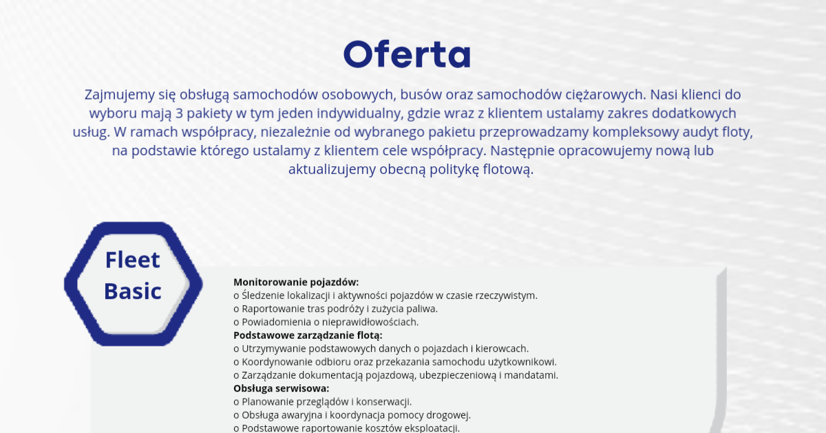 Logo firmy NOVUS FLEET MANAGEMENT SPÓŁKA Z OGRANICZONĄ ODPOWIEDZIALNOŚCIĄ